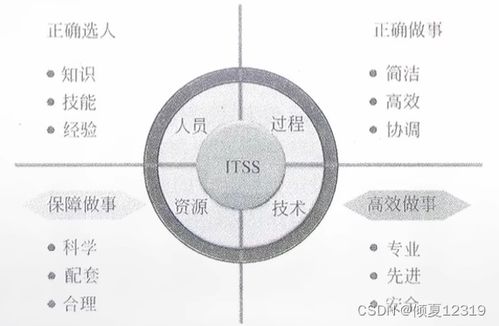 信息系统集成及服务管理 系统集成项目管理工程师的视角